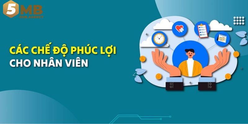 Chế độ đãi ngộ phúc lợi cao