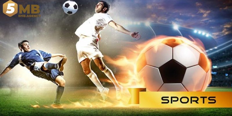 Đôi nét sảnh thể thao 5MB