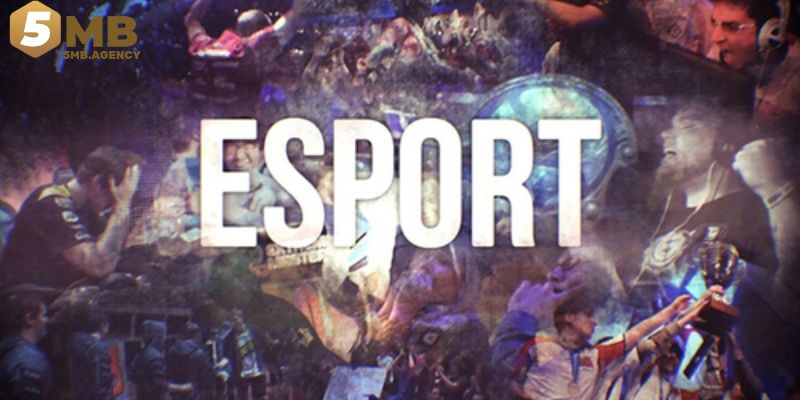Esport 5mb đa dạng hiện đại