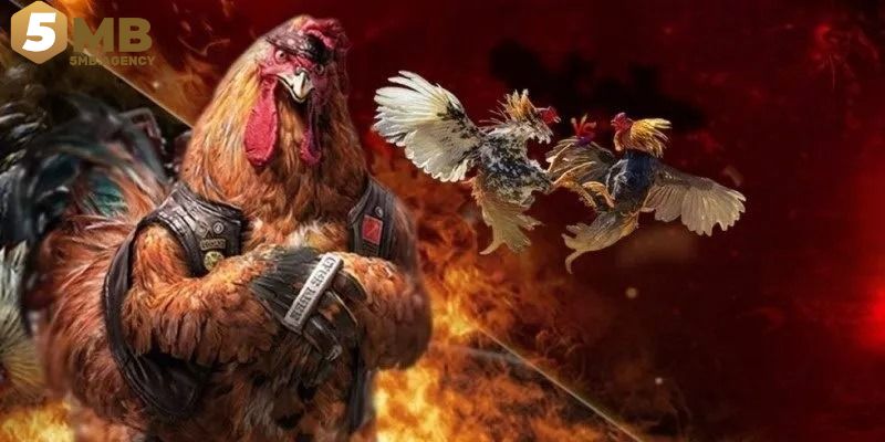 Hình thức đá gà được yêu thích tại 5MB