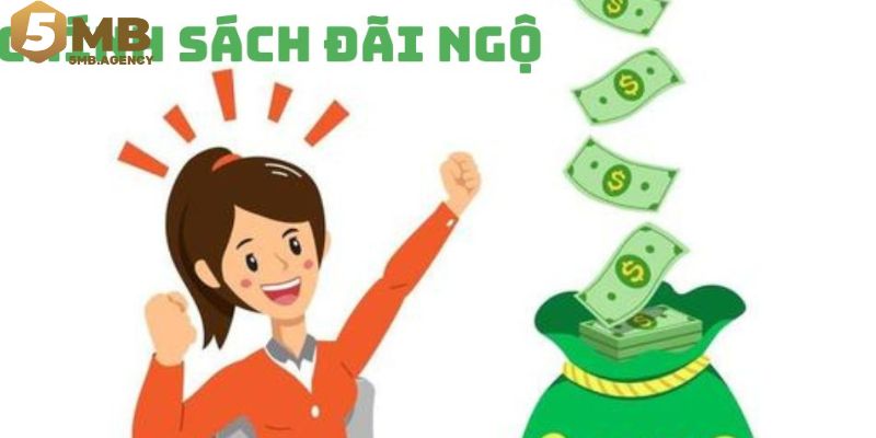Quyền lợi nhân viên IT Web nhận được