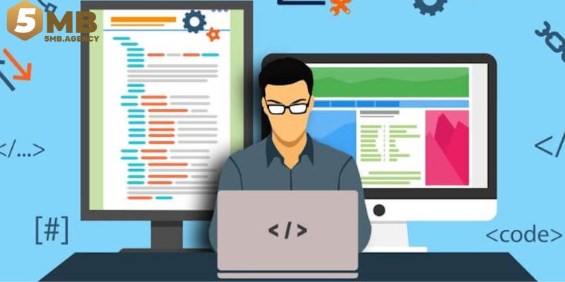 Vai trò IT Web trong nền tảng